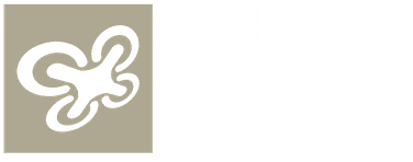 XL Drone
